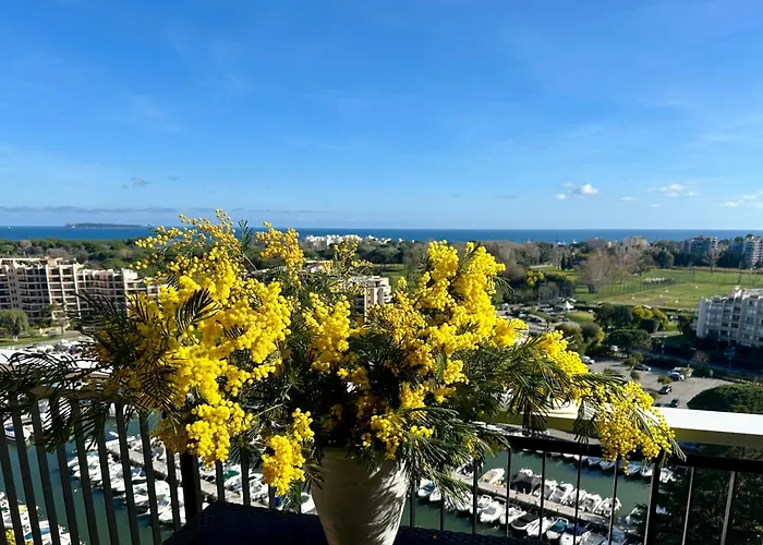 アパートホテル Cannes Marina